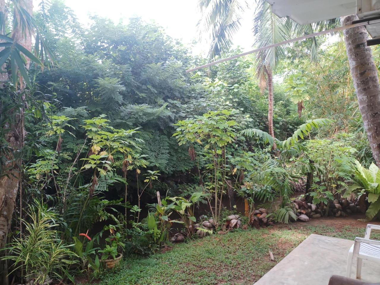 Lakvilla 希克杜沃 外观 照片